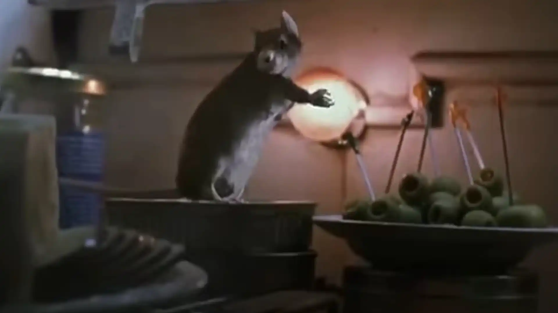 As 10 Melhores Filmes Infantis Ambientados na Década de 1990