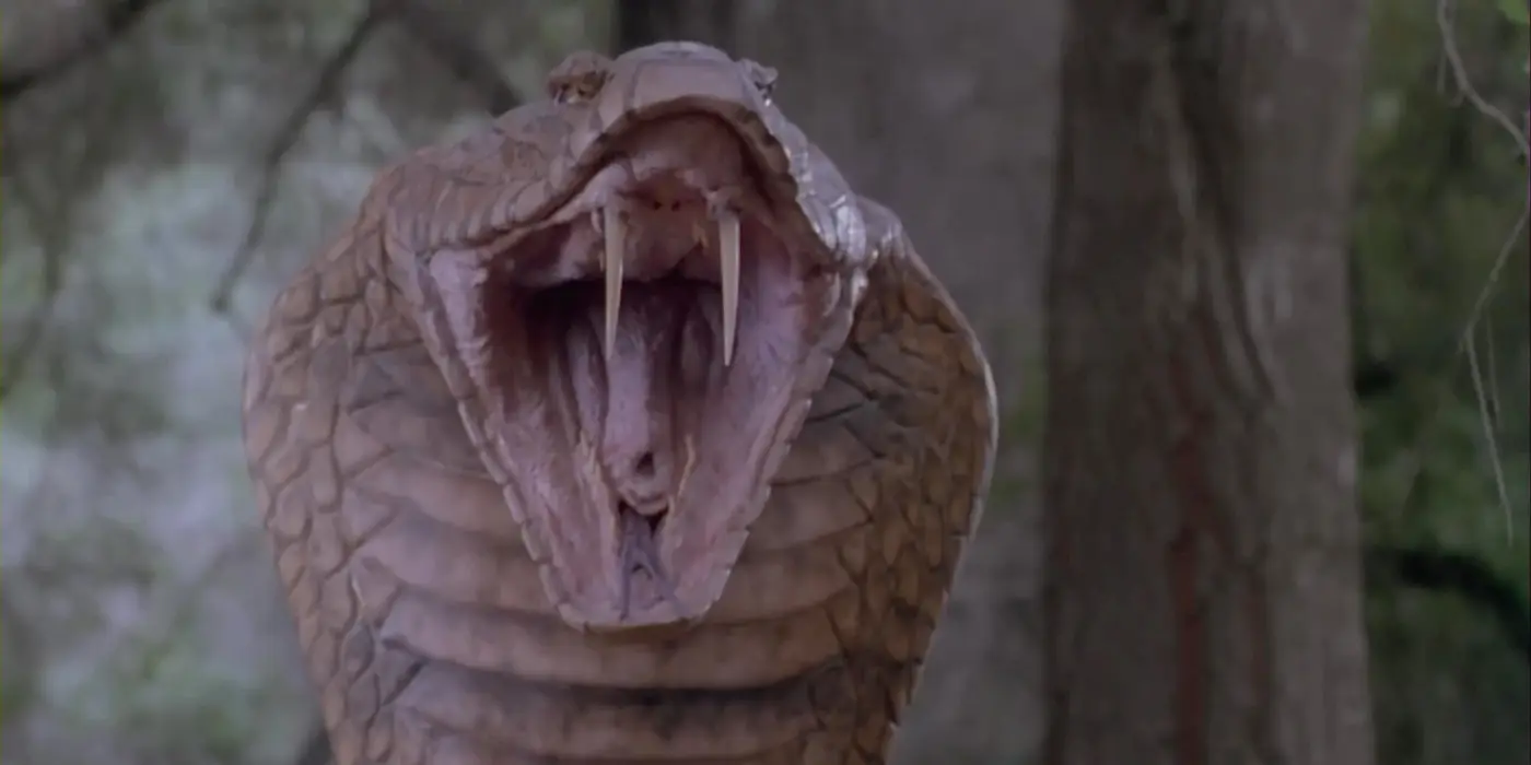 Os 10 Melhores Filmes de Suspense com Cobras de Todos os Tempos