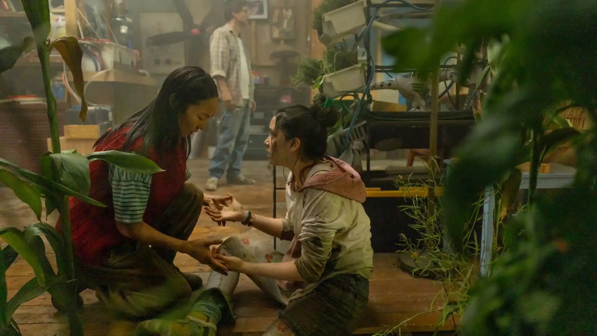 Sucesso de streaming de “The Last House” na Netflix indica possível sequência