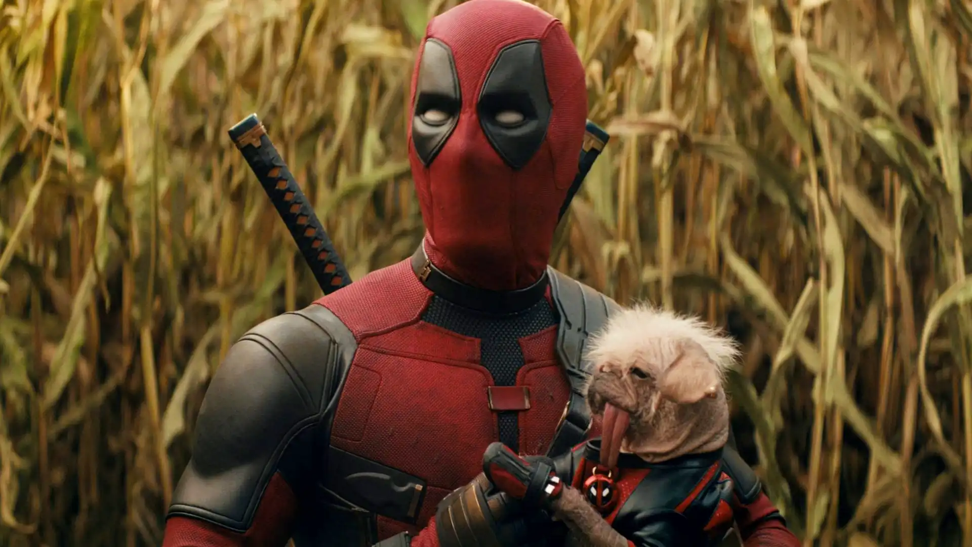 10 personagens importantes do MCU que Stan Lee não criou
