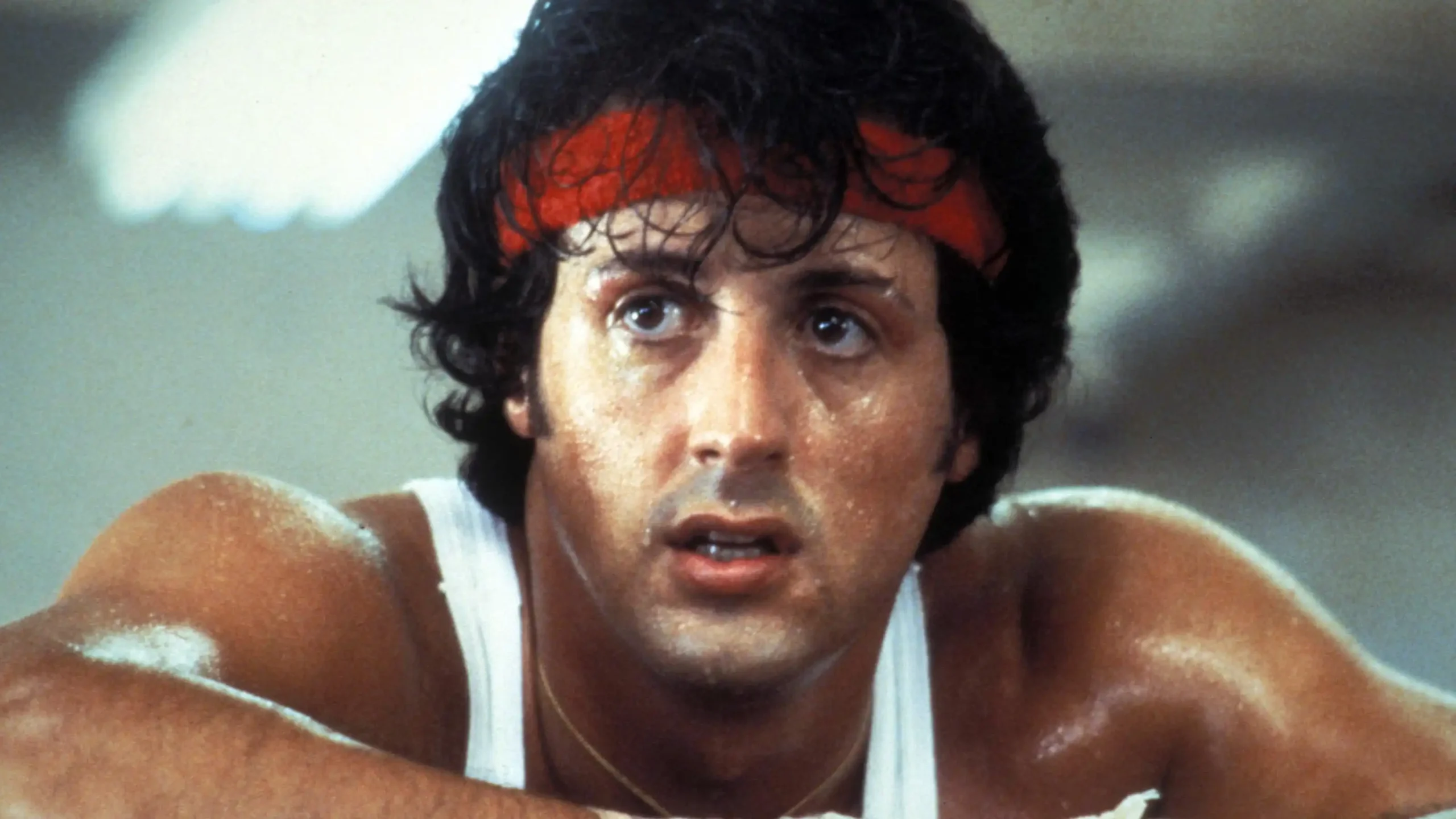 Série Rocky com Sylvester Stallone será removida da Netflix em setembro de 2026