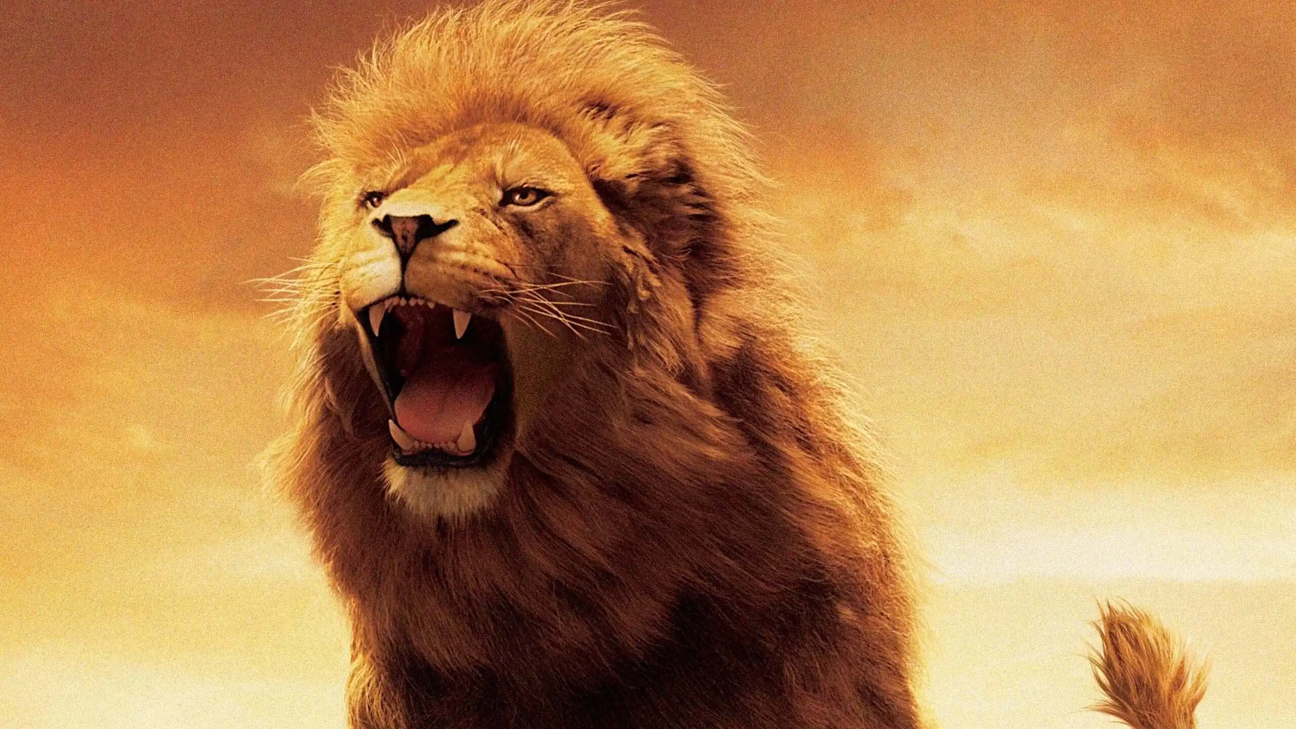 Netflix investe US$ 280 milhões em “Nárnia: O Sobrinho do Mago”, que marca nova fase da franquia