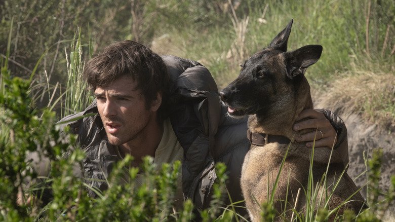 Cinco motivos que explicam o fracasso de The Dog Stars nas bilheterias