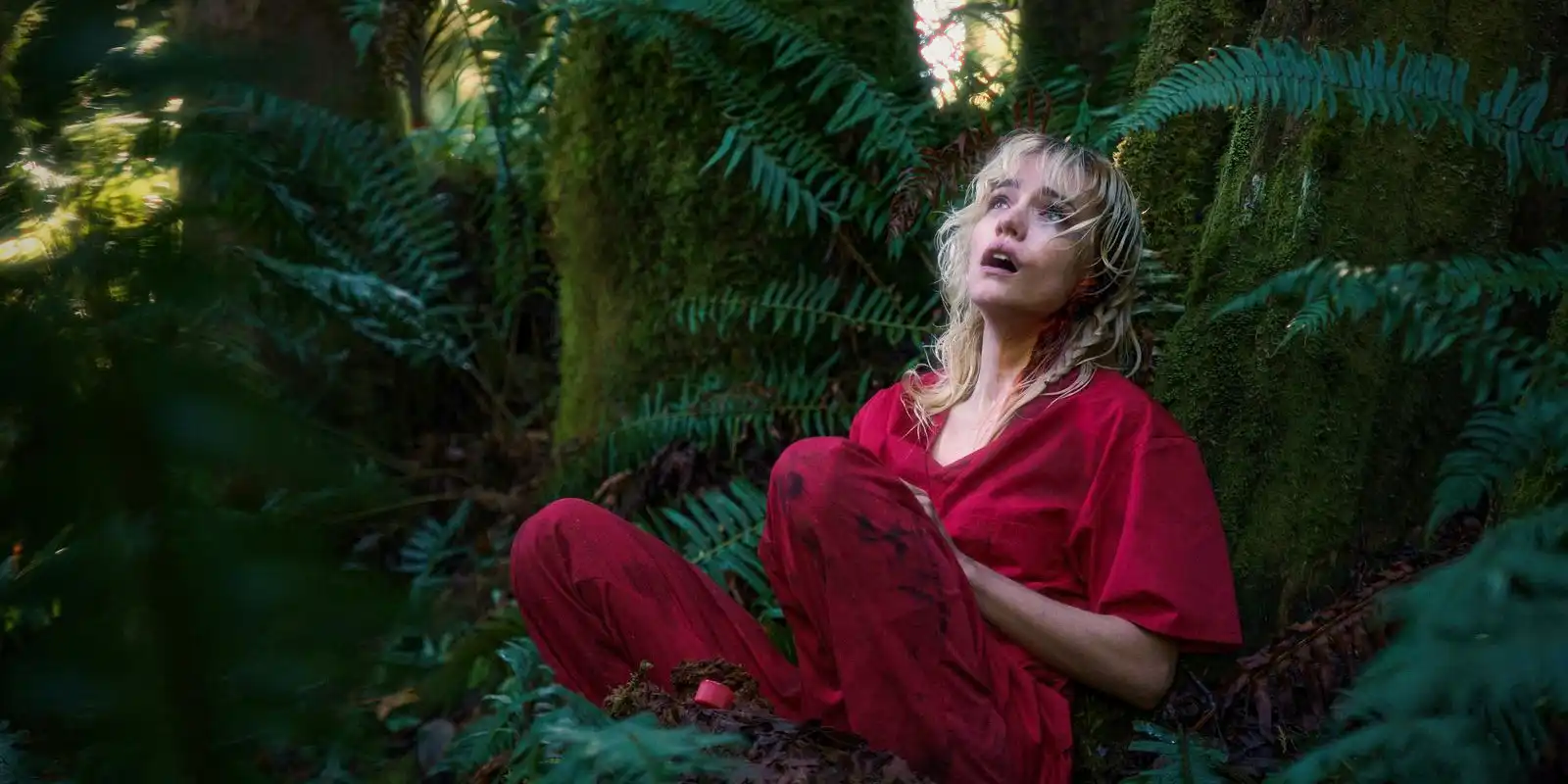 Thriller Aprovado por Stephen King Ganha Nova Vida no Streaming