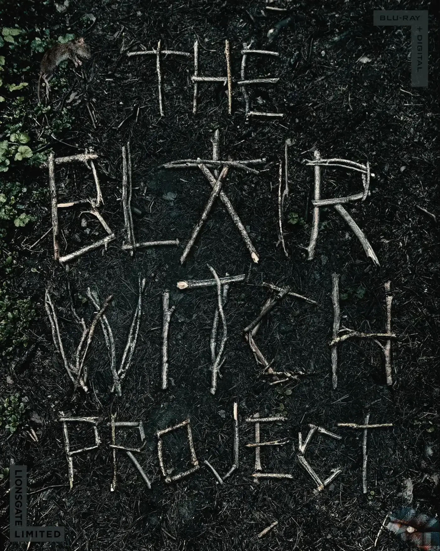 The Blair Witch Project volta a ser lançado em edição especial no próximo mês