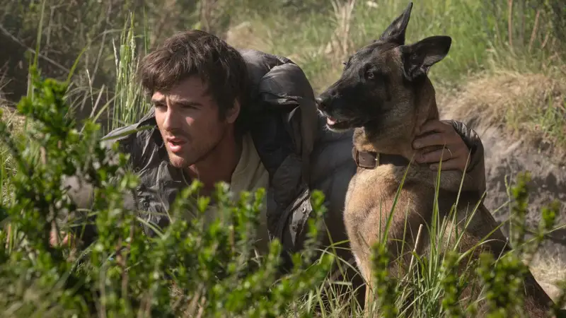 O cachorro morre em The Dog Stars? Confira as diferenças entre o filme e o livro