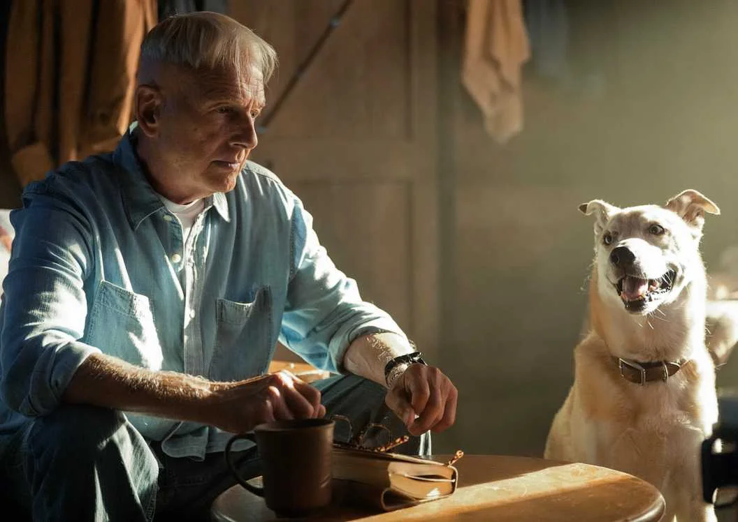 Mark Harmon Retorna em Regime Integral na 3ª Temporada de NCIS: Origins