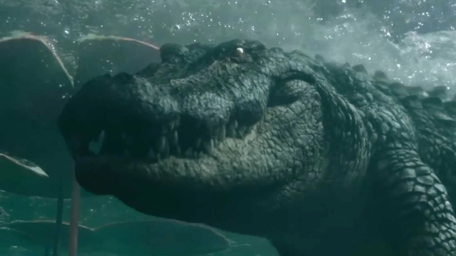 Sequência do filme de terror “Crawl” de Sam Raimi ganha data de estreia em 2027