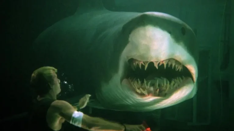 Deep Water (2026) resgata clima de clássicos de tubarão e conquista fãs de Deep Blue Sea