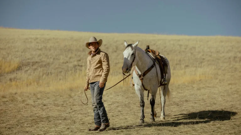 Série The Madison, de Taylor Sheridan, é renovada para duas temporadas e ganha data de lançamento em Blu-ray