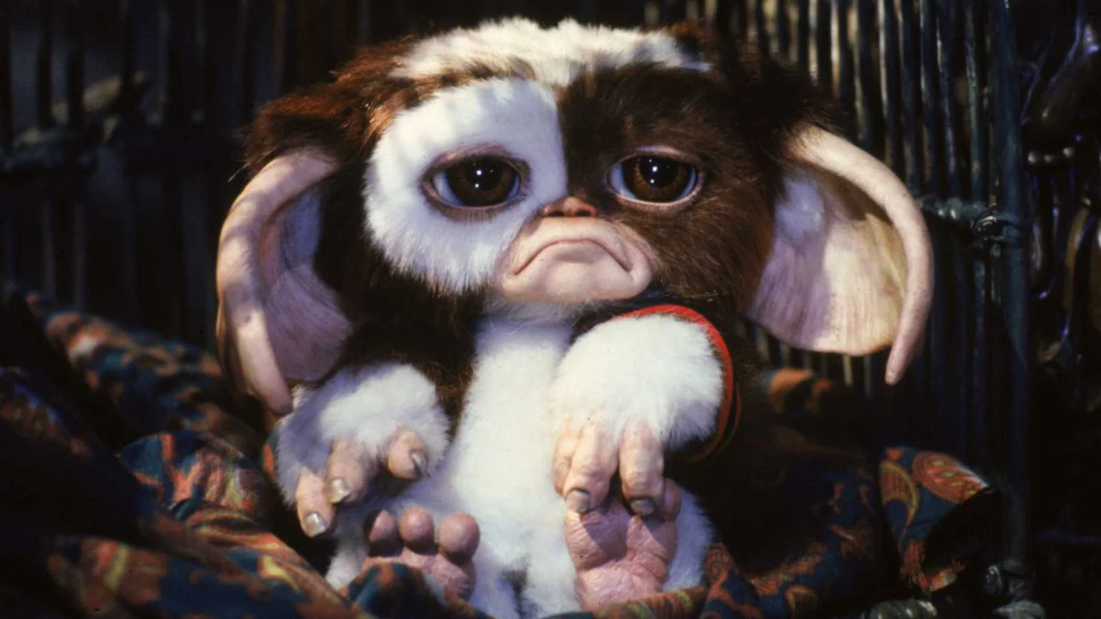 Lançamento de Gremlins 3 é adiado para 2028 e isso pode beneficiar o filme