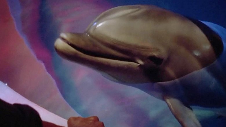 Série de ficção científica dos anos 90 com Roy Scheider, “seaQuest DSV”, merece reboot