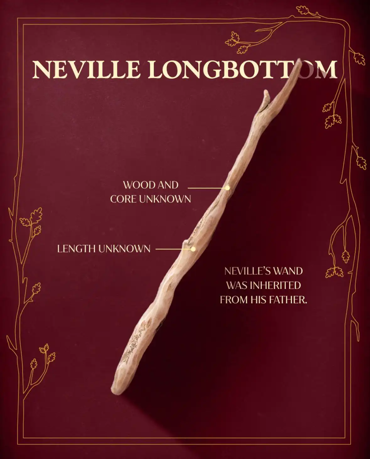 HBO revela novos designs das varinhas em imagens oficiais da série Harry Potter