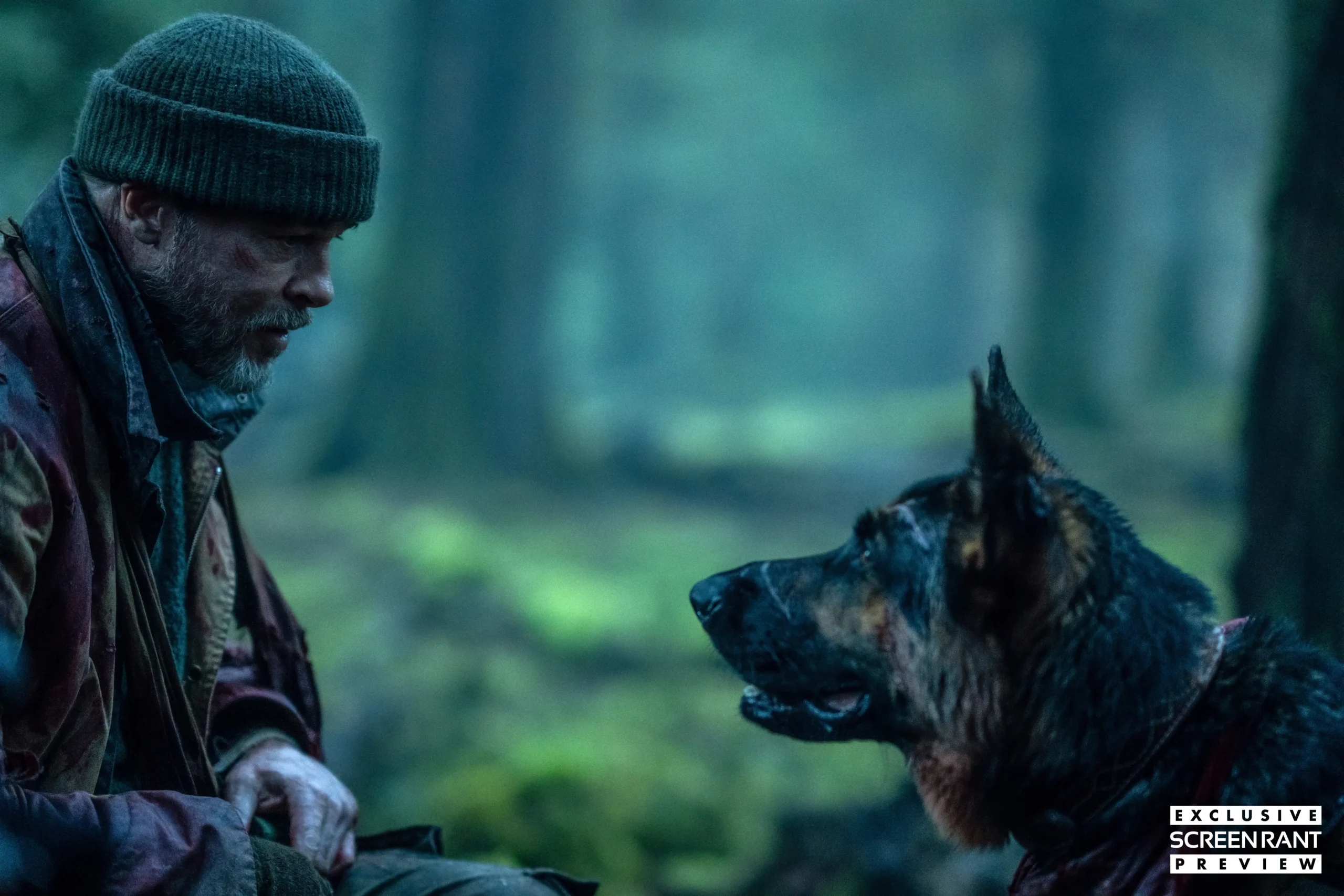 Primeiras reações ao filme “Heart of the Beast” com Brad Pitt são divulgadas