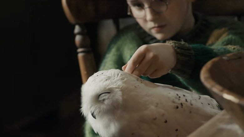 Cinco Detalhes Escondidos no Trailer da Série Harry Potter da HBO