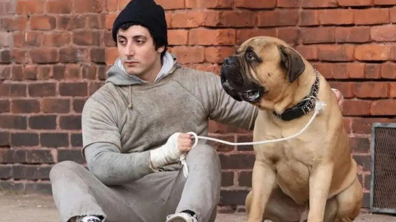 Filme “I Play Rocky” estreia como tributo dramático à criação de “Rocky” com destaque para atuação de Anthony Ippolito