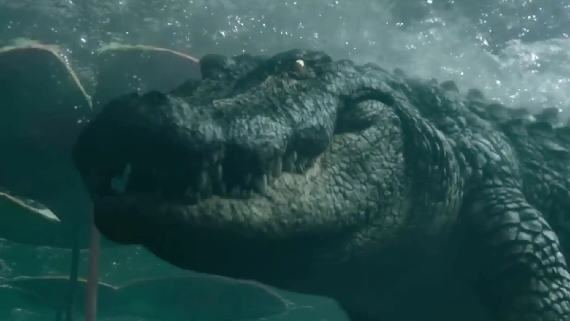Sequência do filme de terror “Crawl” de Sam Raimi ganha data de estreia em 2027