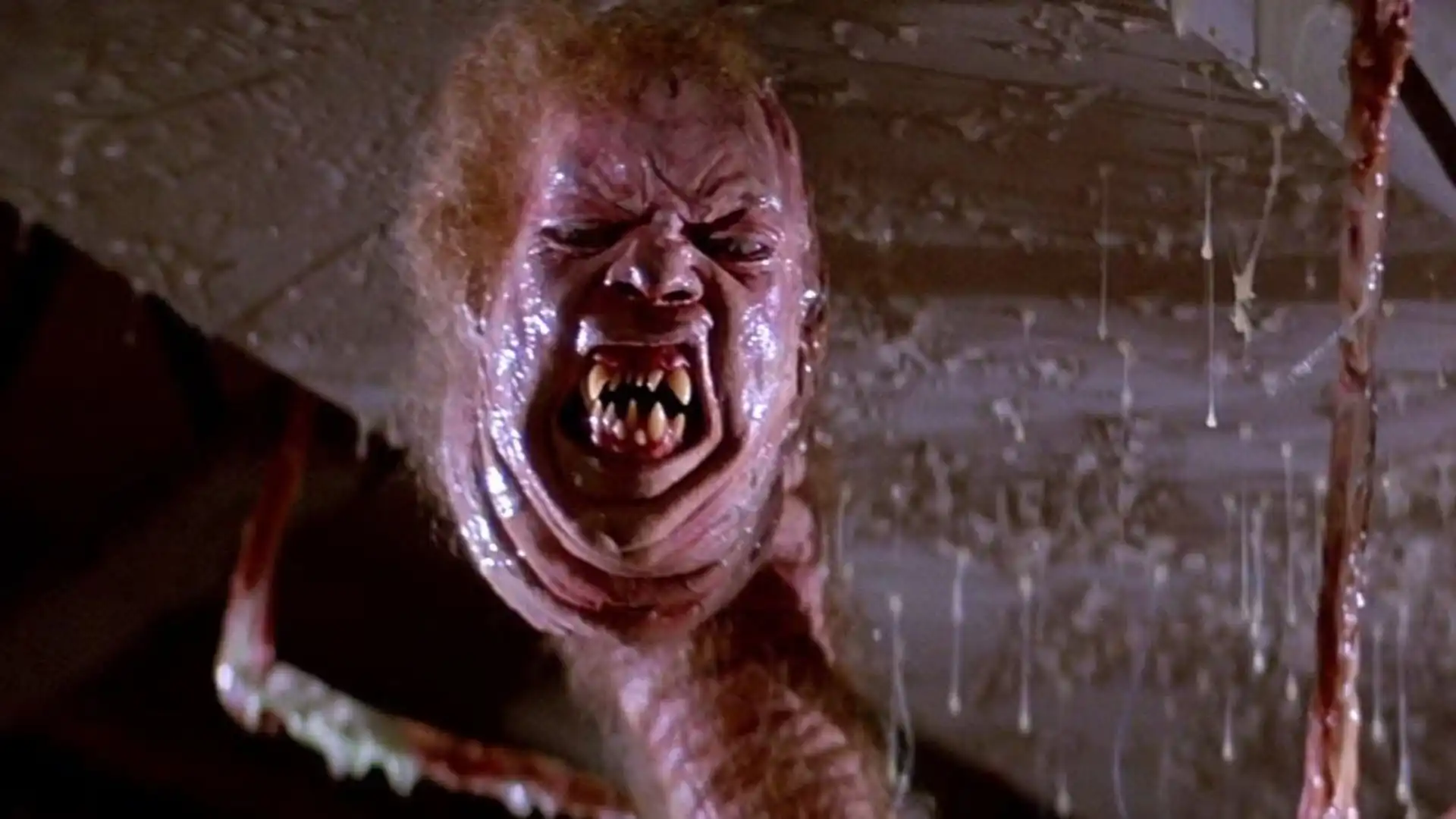 Os 10 Melhores Filmes de Terror para Assistir Após Resident Evil