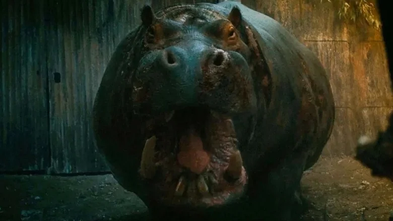 Filme de terror com hipopótamo assassino se torna maior sucesso de streaming do Prime Video