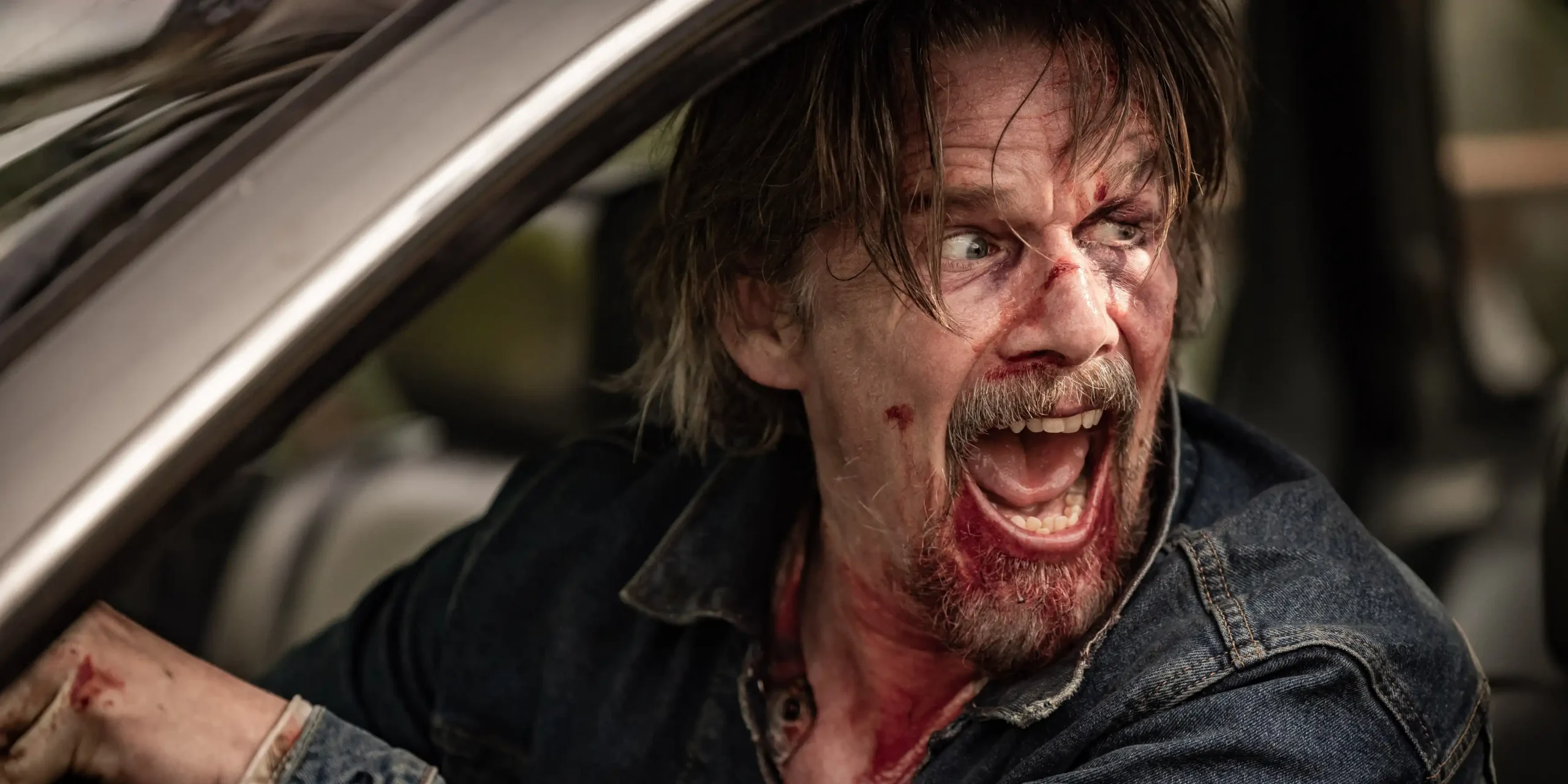 Segunda temporada de The Lowdown estreia com nota rara de 100% no Rotten Tomatoes