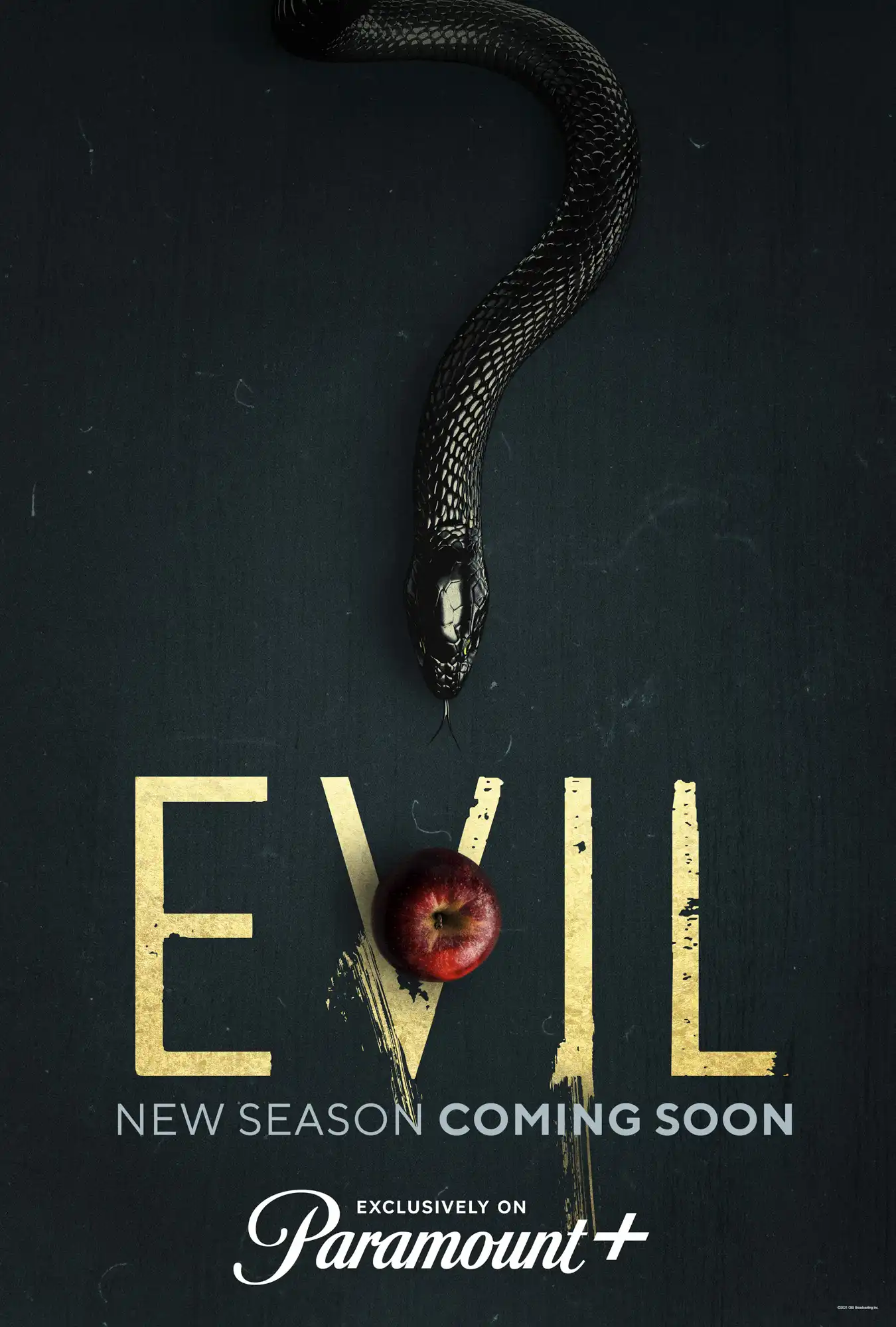Mike Colter revela que houve conversas sinceras sobre a 5ª temporada de Evil, mas agenda de novo projeto complica retorno