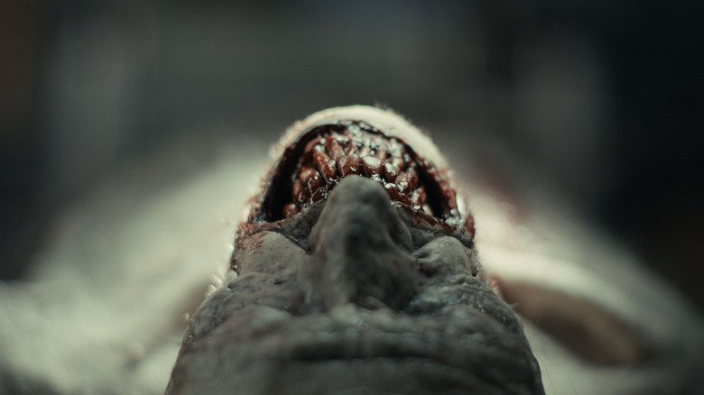 Efeitos práticos impressionam em “The Cycle”, mistério de terror disponível no Shudder