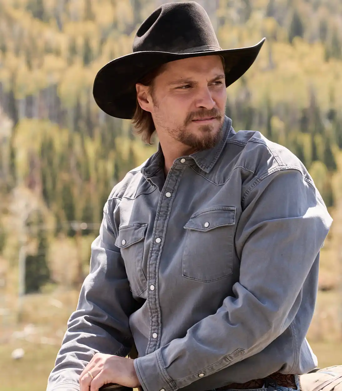 Série de Taylor Sheridan no estilo faroeste é a maior audiência da TV atualmente