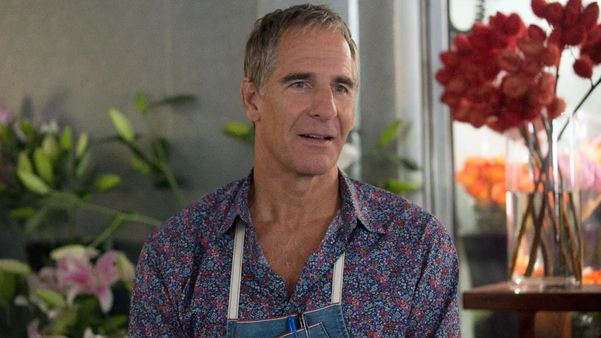 Scott Bakula pode retornar à CBS em nova série enquanto produção de Star Trek: United segue incerta