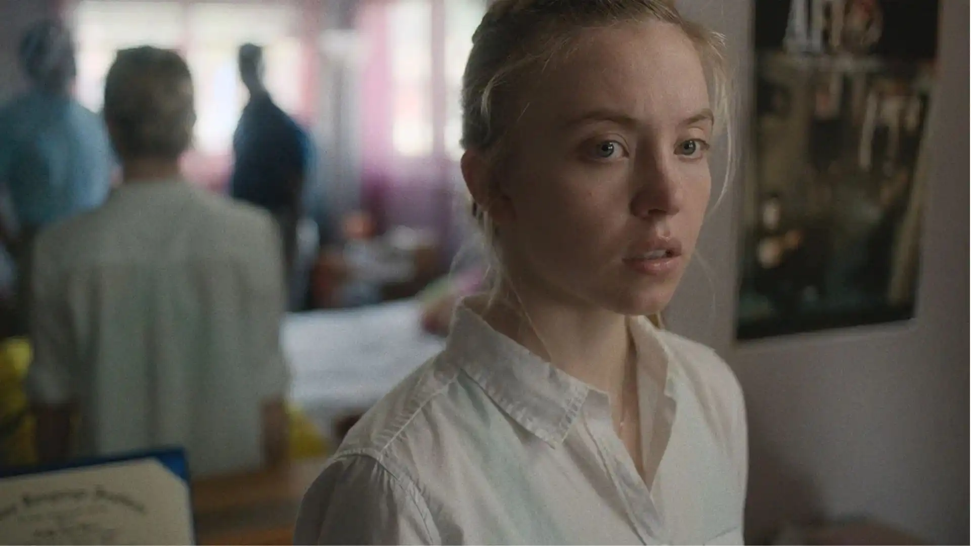 As Melhores Atuações de Sydney Sweeney para Assistir em Novembro