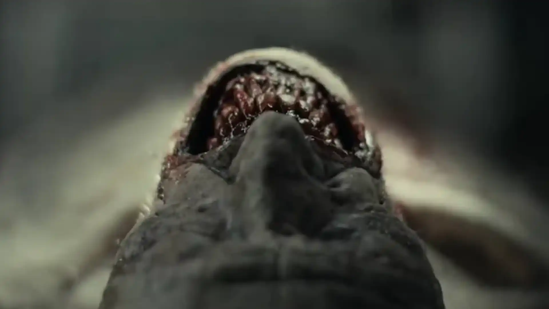 Filme de terror “The Cycle” ganha elogio especial de Stephen King e estreia em uma semana